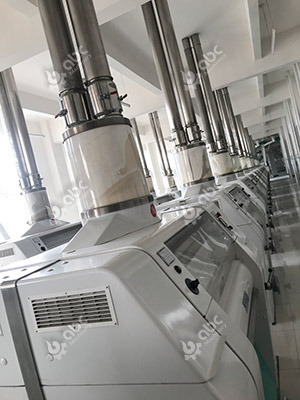 Industrial Commercial Flour Milling Equipment - 50+ T/D Capacity for Business