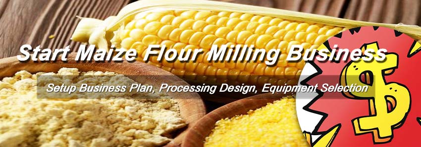 Corn Flour Production Business Plan