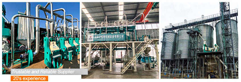 different type of grain flour milling plant cost