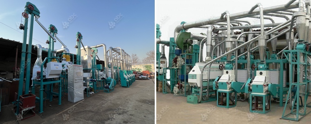 flour mill equipment cost