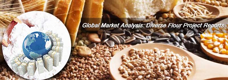 Global Market Flour Milling Business Insights