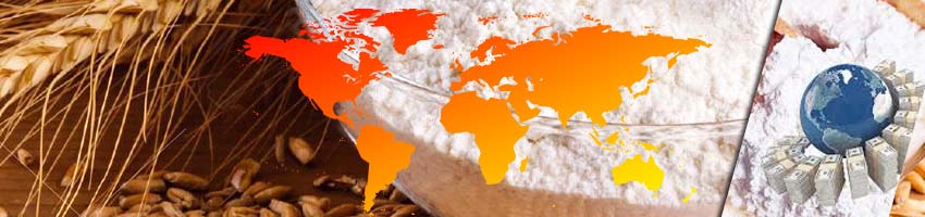 Global Flour Mill Project Report Overview