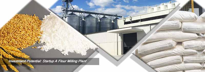 How to Invest a Cost-effective Flour Milling Factory