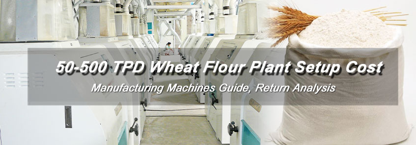 Wheat Flour Manufacturing Plant Setup Cost - 50-500 TPD Capacity & Return Analysis