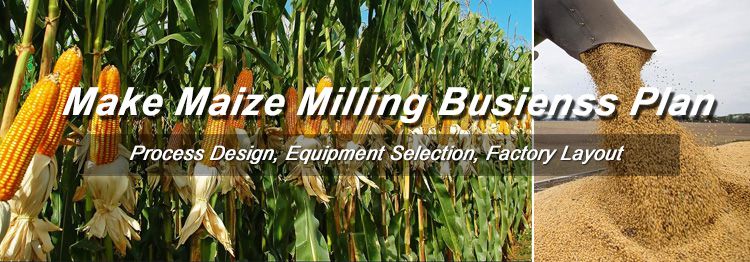 business plan on maize production