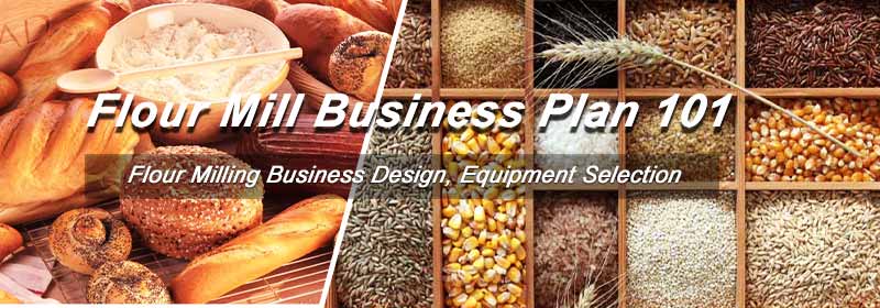  A Journey from Flour Mill Business Plan to Profitability