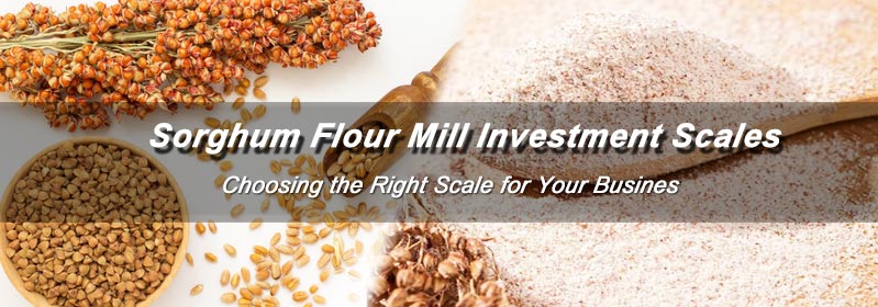 Sorghum Flour Mill Investment Guide - Choosing the Right Scale for Your Business